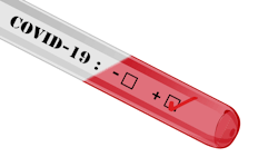 Cmsann 1 5e947d3f1c54a Cmsann 1 5e947d3f1c54a