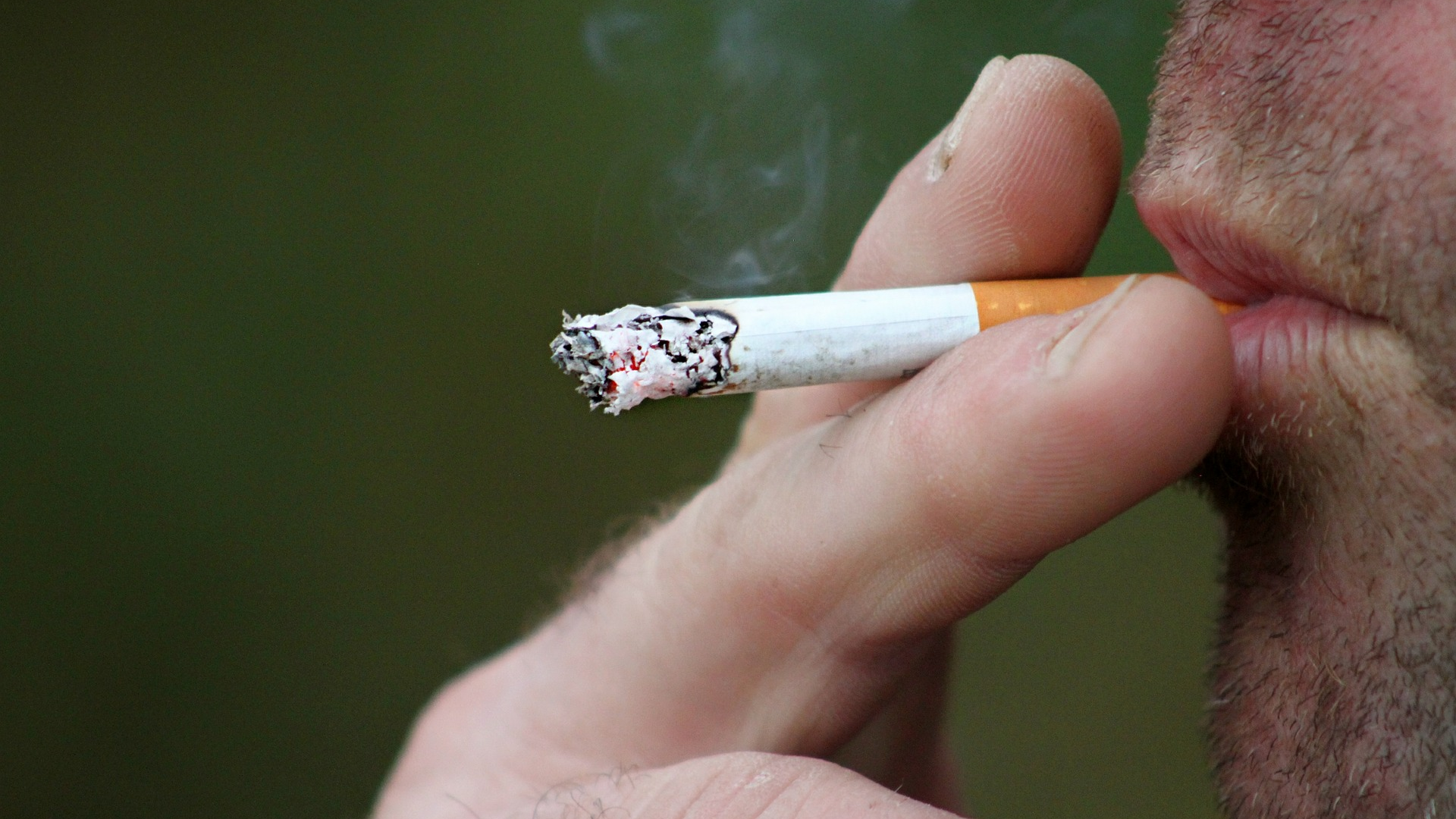 Two Studies Say Smokers At Higher Risk For Infectious Disease Pic 4 23 20du Smoking 397599 1920 Pixabay 5ea1ac91780d4
