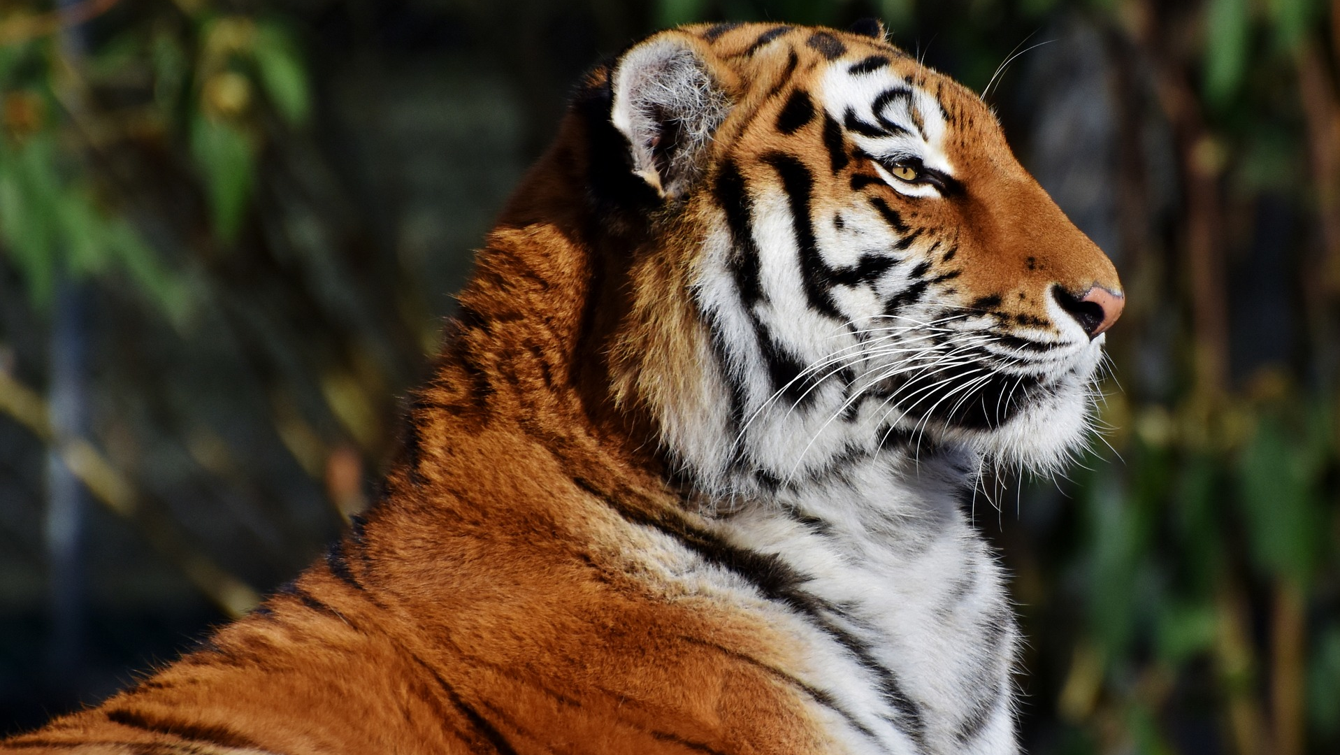 Usdaan 1 5e8b3f3205b44