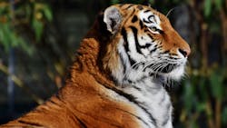 Usdaan 1 5e8b3f3205b44 Usdaan 1 5e8b3f3205b44