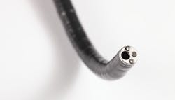 Healthmark Primary 5e9a0e412a598 Healthmark Primary 5e9a0e412a598