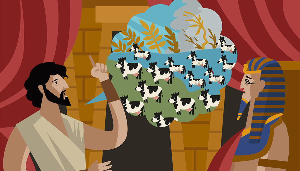 Sk Ud Primary 5e9a218909842