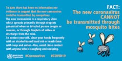 Who Busts New Myths About Covid 19 Pic 4 10 20blog Mb Mosquito Bite Courtesy Of Who Who Busts New Myths About Covid 19 Pic 4 10 20blog Mb Mosquito Bite Courtesy Of Who
