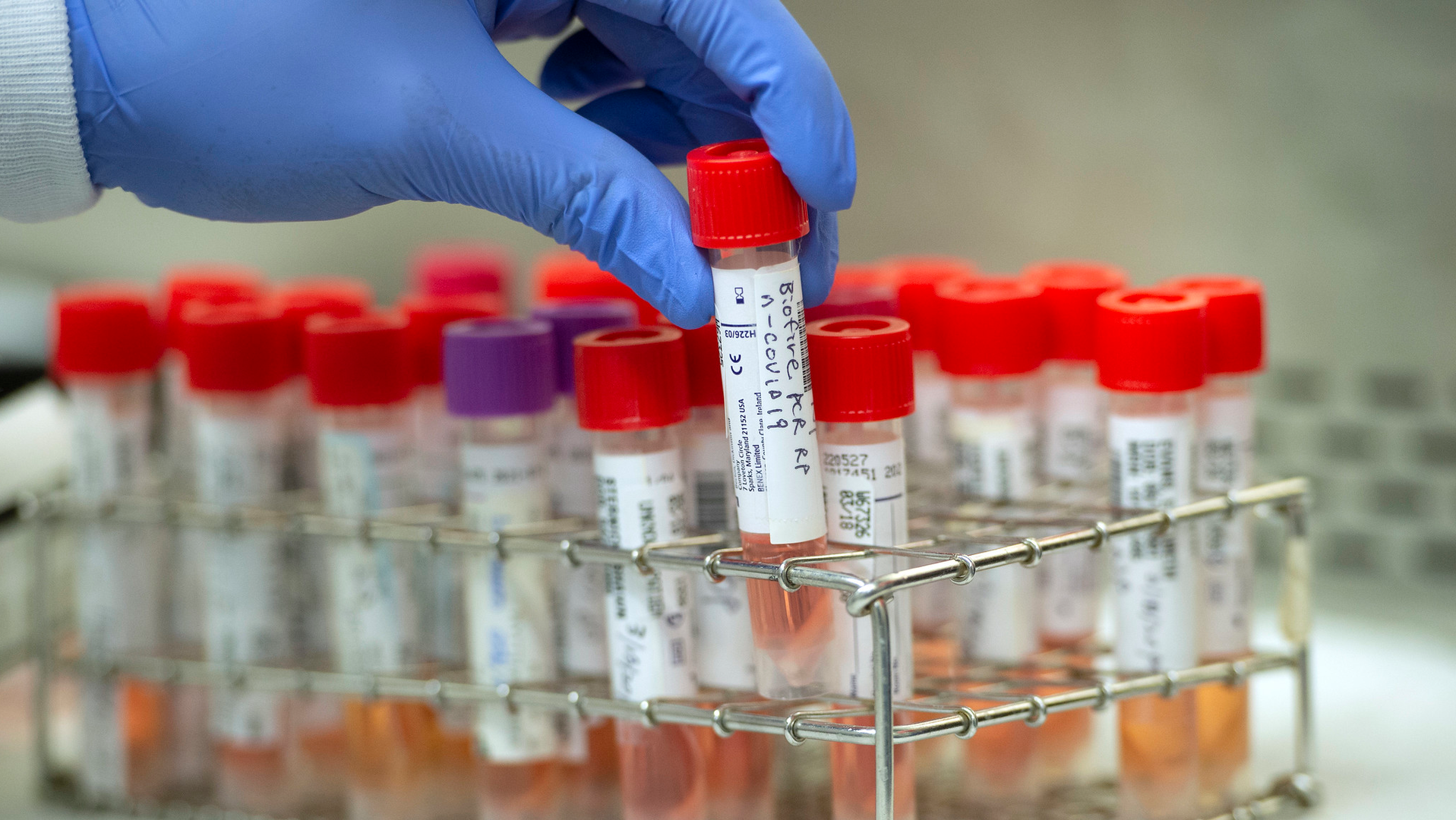 Nihini 1 5eac2683a5082