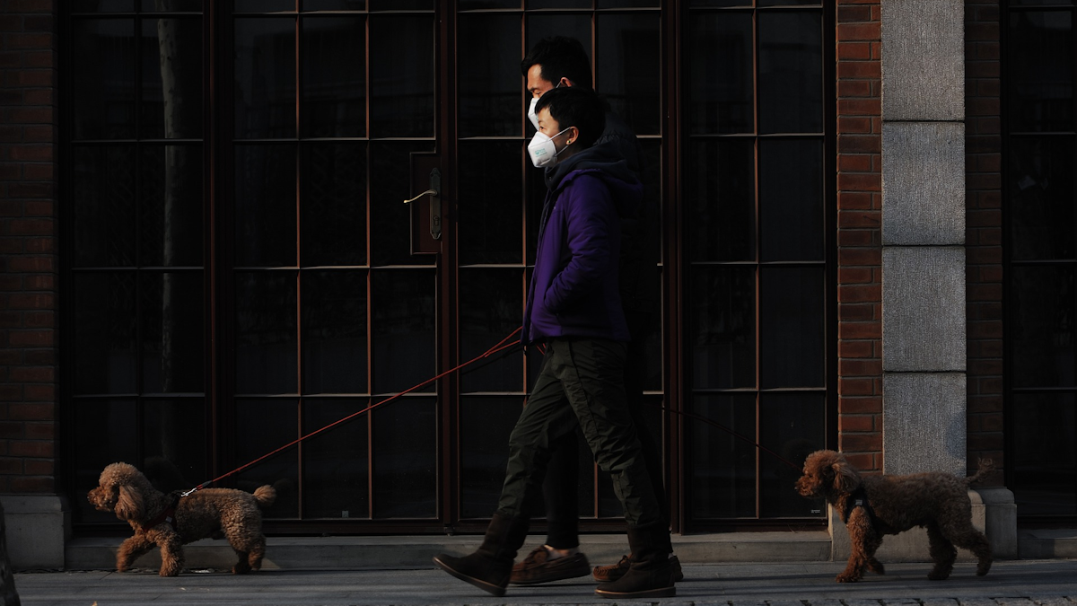 Chinese Study Finds Antibodies In Covid 19 Patients Fade Quickly Healthcare Purchasing News