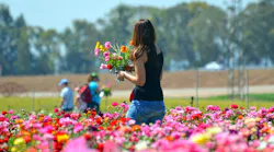 Will Warm Weather Slow Spread Of Novel Coronavirus Pic 6 5 20du Flower 3211800 1920 Pixabay