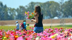 Will Warm Weather Slow Spread Of Novel Coronavirus Pic 6 5 20du Flower 3211800 1920 Pixabay 5eda503e4522d Will Warm Weather Slow Spread Of Novel Coronavirus Pic 6 5 20du Flower 3211800 1920 Pixabay 5eda503e4522d