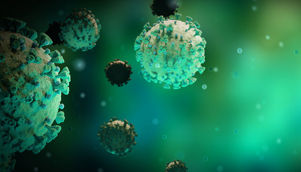 Sf Primary 5ee3cdabcc90d