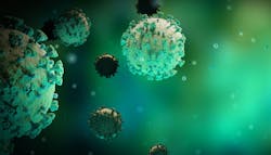 Sf Primary 5ee3cdabcc90d Sf Primary 5ee3cdabcc90d