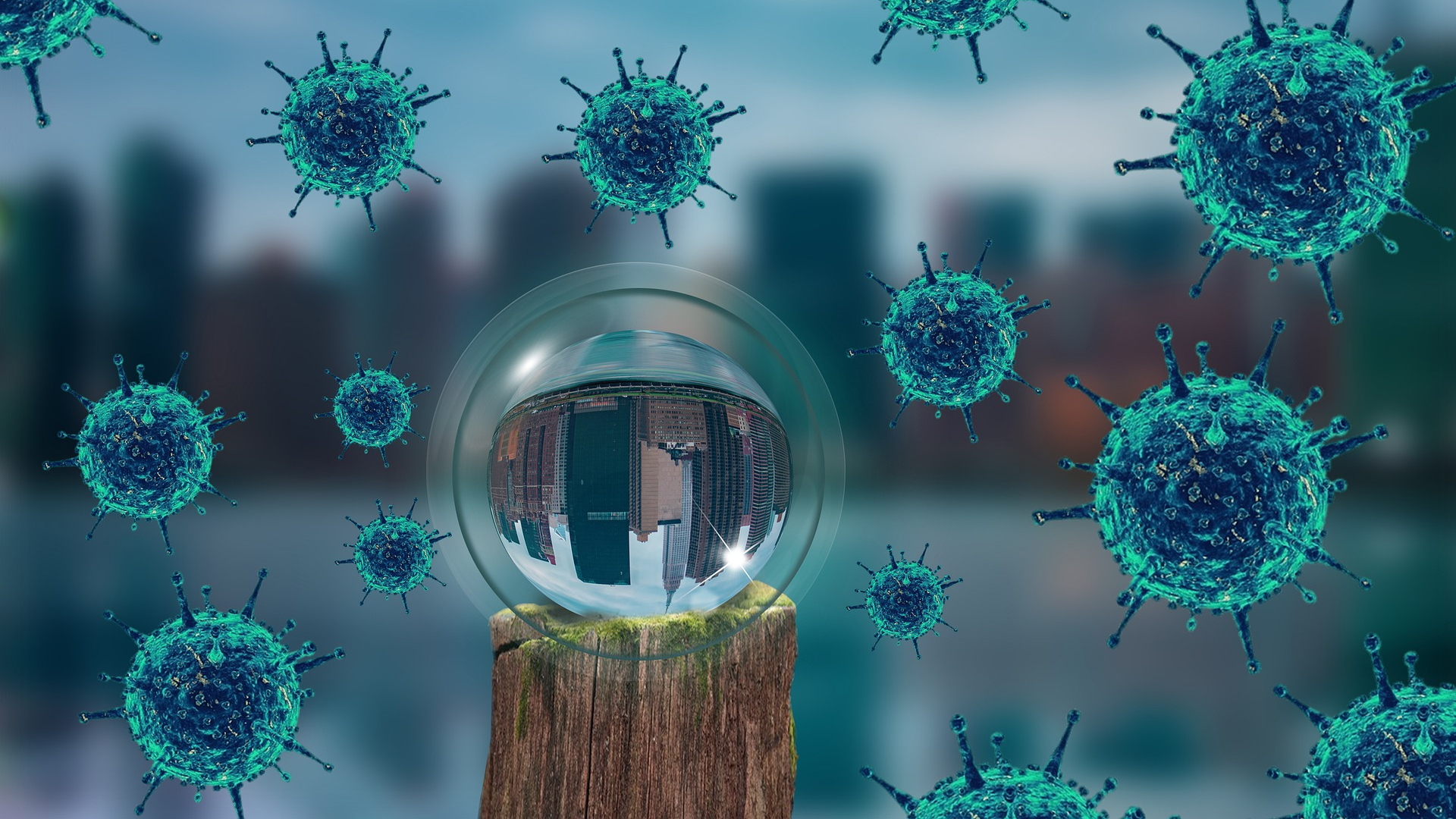 Image by fernando zhiminaicela from Pixabay