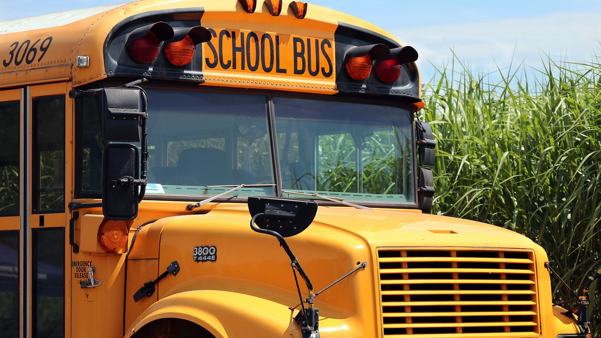 Image by S. Hermann & F. Richter from Pixabay