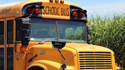 Image by S. Hermann & F. Richter from Pixabay Image by S. Hermann & F. Richter from Pixabay