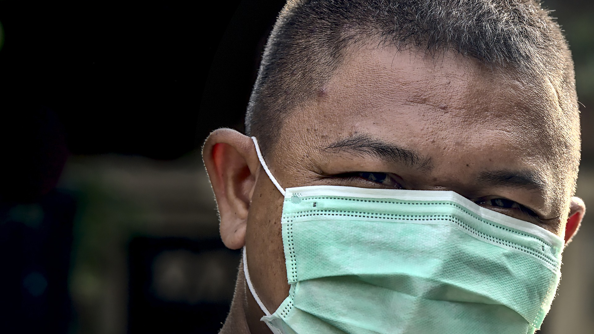 Image by pisauikan from Pixabay