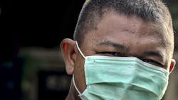 Image by pisauikan from Pixabay Image by pisauikan from Pixabay