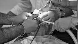 Image by Ri Butov from Pixabay Image by Ri Butov from Pixabay