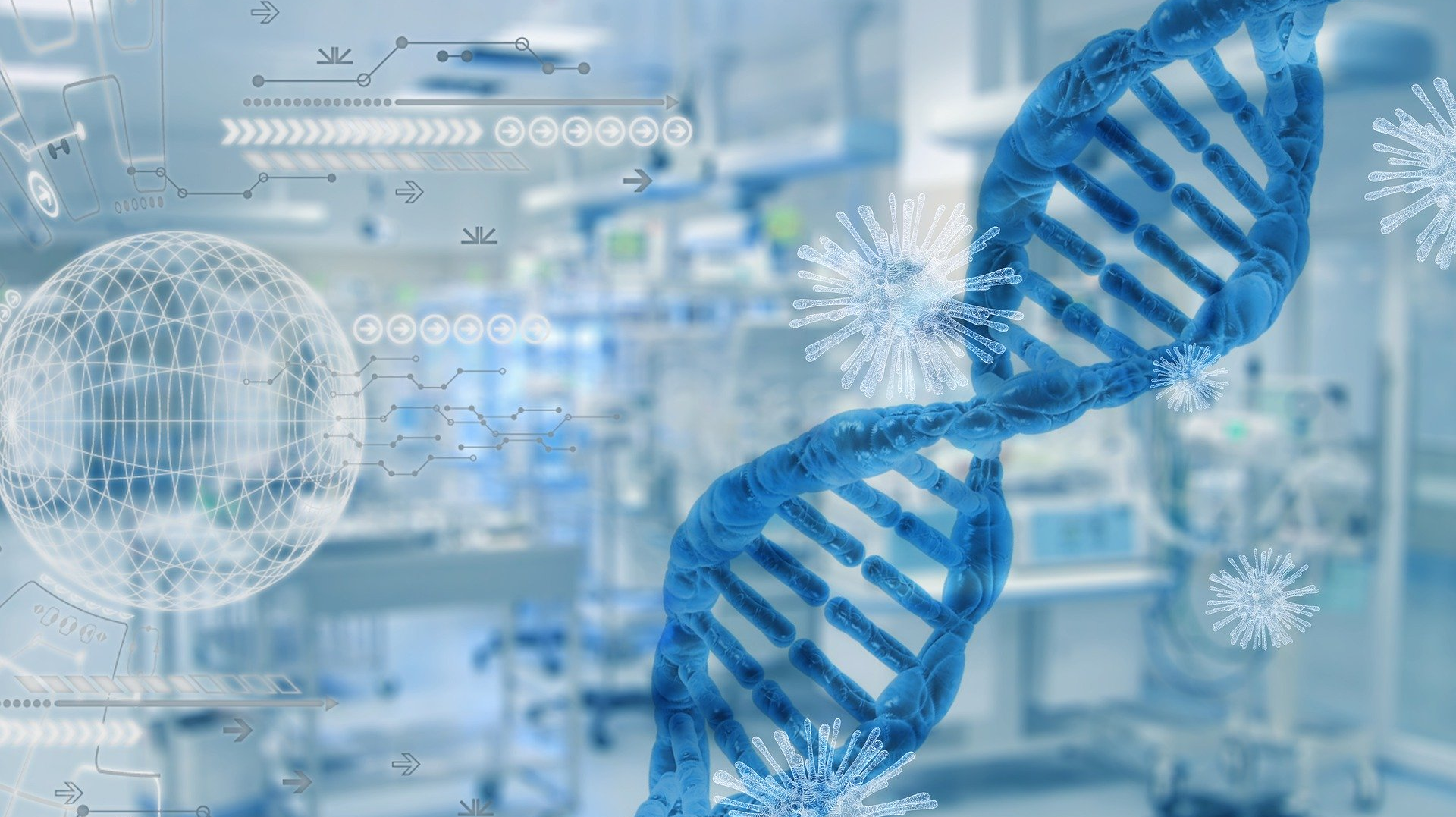 Image by PixxlTeufel from Pixabay