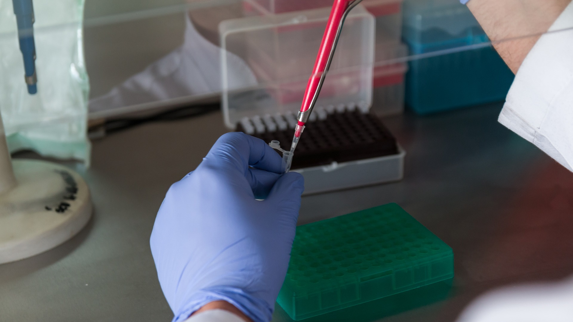 Image by Michal Jarmoluk from Pixabay