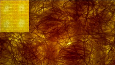 Face Coverings Made From Layered Cotton Fabric Likely To Slow Spread Of Covid 19 Better Than Synthetics Pic 7 1 20du Nist 5efc9c2dc6394