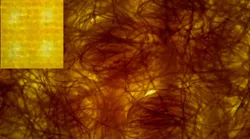 Face Coverings Made From Layered Cotton Fabric Likely To Slow Spread Of Covid 19 Better Than Synthetics Pic 7 1 20du Nist