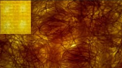 Face Coverings Made From Layered Cotton Fabric Likely To Slow Spread Of Covid 19 Better Than Synthetics Pic 7 1 20du Nist 5efc9c2dc6394 Face Coverings Made From Layered Cotton Fabric Likely To Slow Spread Of Covid 19 Better Than Synthetics Pic 7 1 20du Nist 5efc9c2dc6394