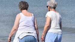 Image by Ben Kerckx from Pixabay Image by Ben Kerckx from Pixabay