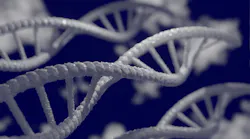 Genomic Variation Causing Common Autoinflammatory Disease May Increase Resilience To Bubonic Plague Pic 7 1 20du Dna 5297378 1920 Pixabay