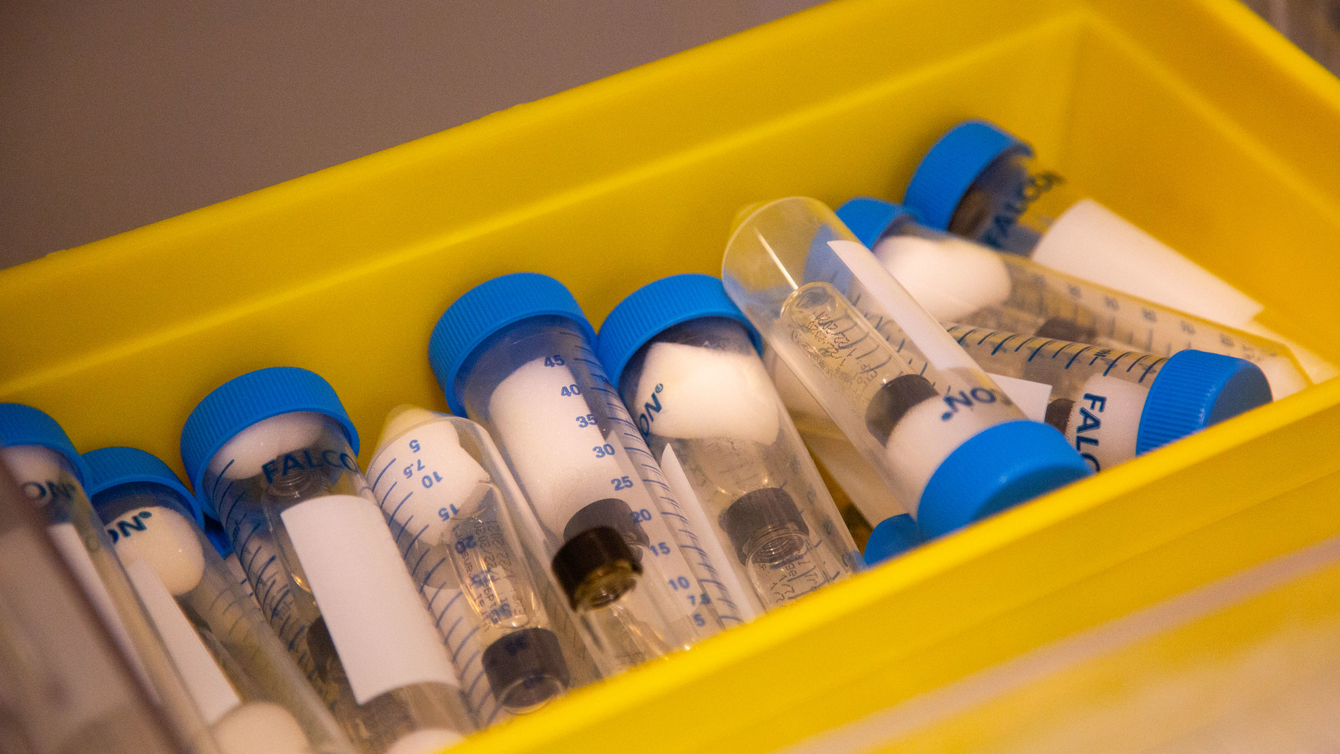 Laboratory Stakeholders Ask Administration To Improve Access To Testing Supplies Pic 7 10 20du 0 49859581537 130de9713c K Fda Flickr 5f08788745bd4