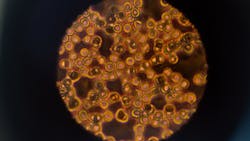 Photo by ThisIsEngineering from Pexels Photo by ThisIsEngineering from Pexels