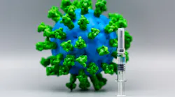 Image by pearson0612 from Pixabay