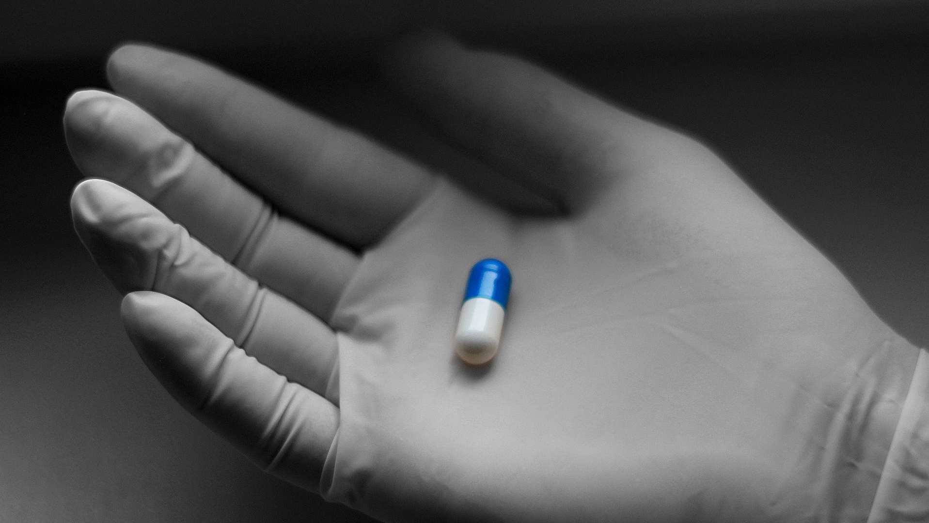 Image by &Icy;&rcy;&icy;&ncy;&acy; &Icy;&rcy;&icy;&ncy;&acy; from Pixabay