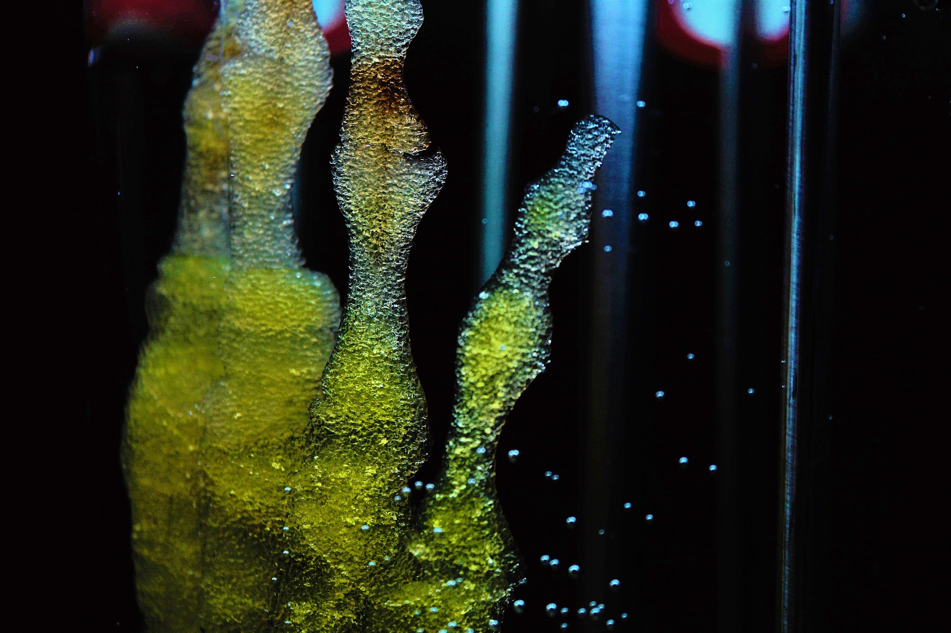 Image by Monika Robak from Pixabay