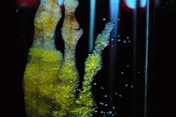 Image by Monika Robak from Pixabay Image by Monika Robak from Pixabay