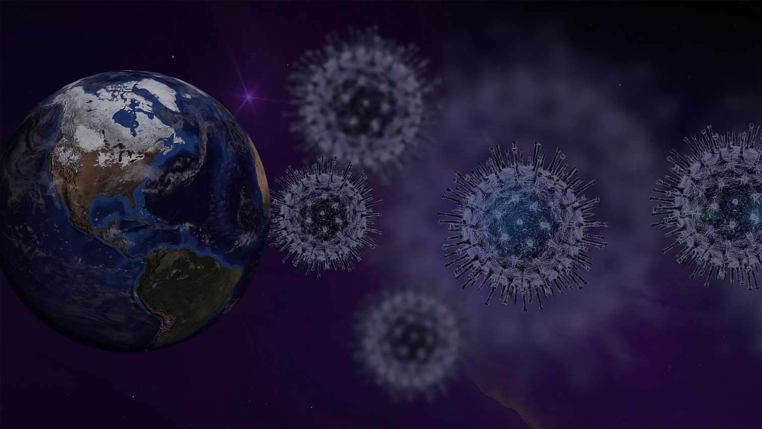 Image by fernando zhiminaicela from Pixabay