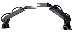 Image by kalhh from Pixabay Image by kalhh from Pixabay