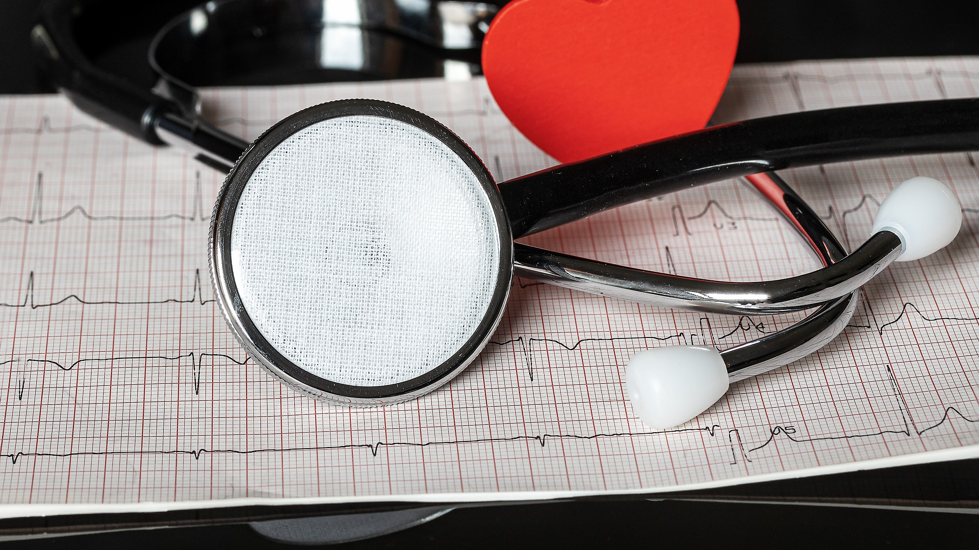 Image by Myriam Zilles from Pixabay