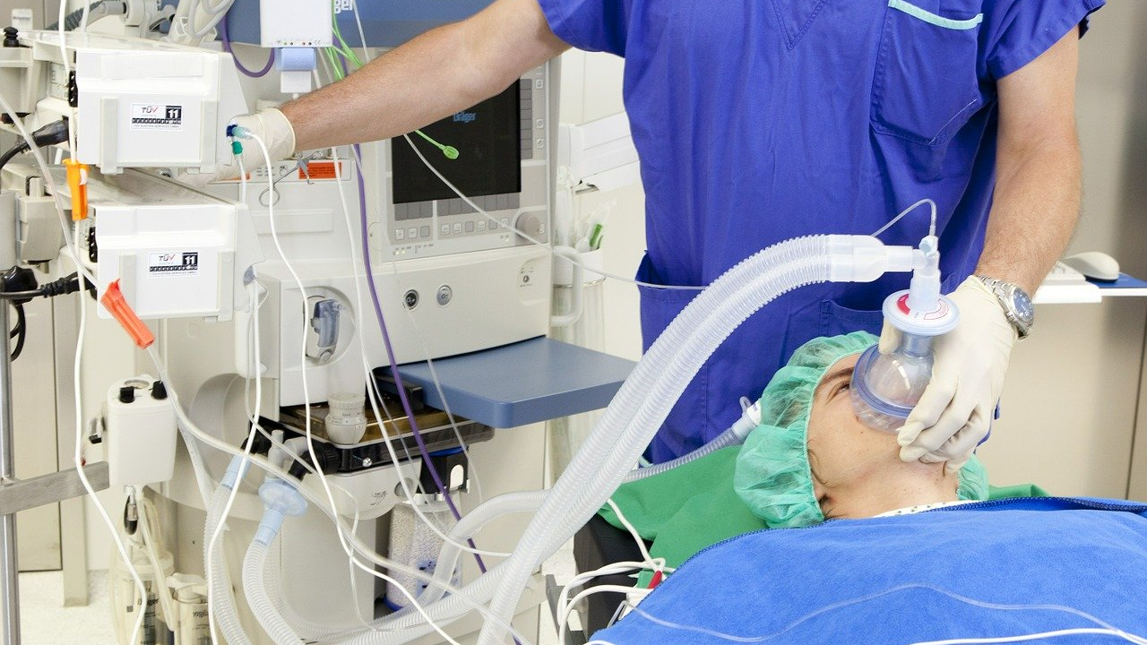 Image by Stefan Schranz from Pixabay