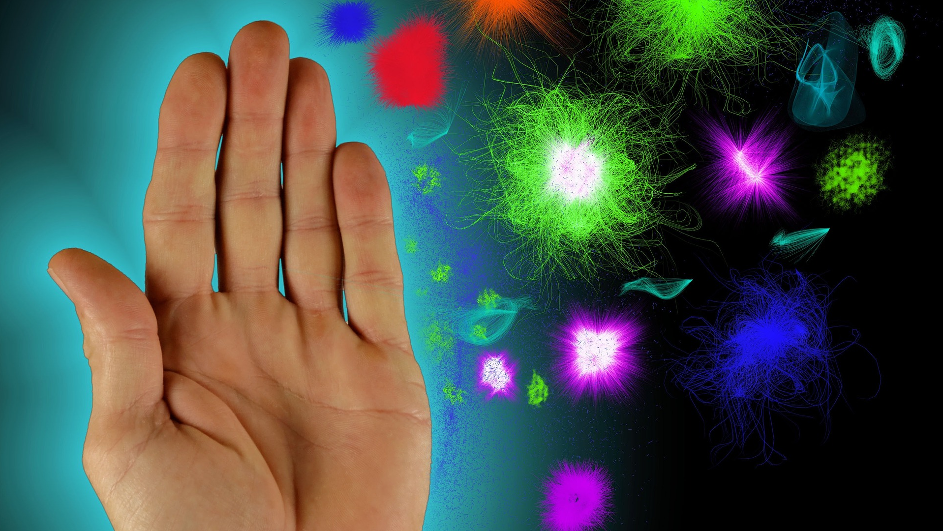 Image by kalhh from Pixabay