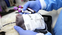 Image by Ahmad Ardity from Pixabay Image by Ahmad Ardity from Pixabay