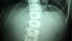 Image by Dr. Manuel González Reyes from Pixabay Image by Dr. Manuel González Reyes from Pixabay