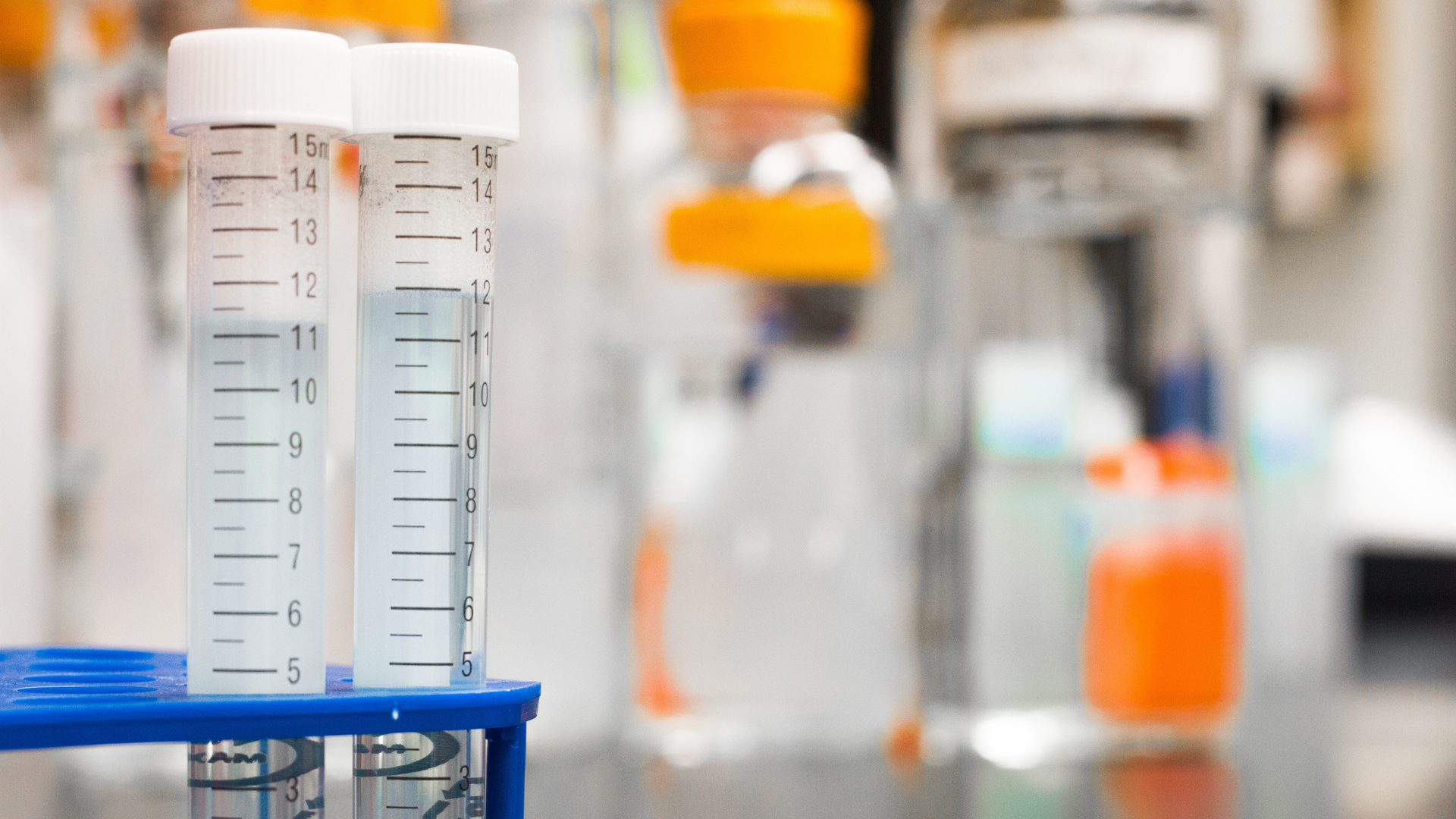 Photo by Martin Lopez from Pexels