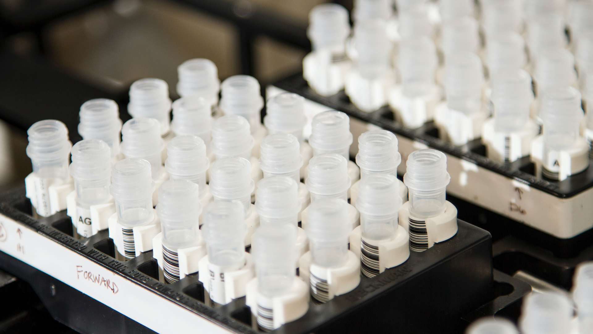 Photo by National Cancer Institute on Unsplash