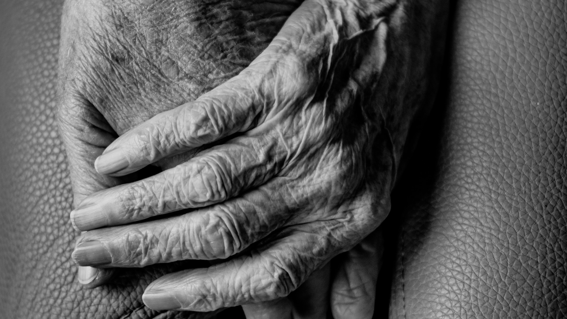 Photo by Gert Stockmans on Unsplash