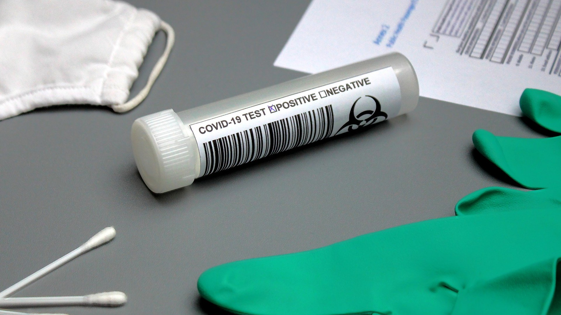 Image by Elchinator from Pixabay