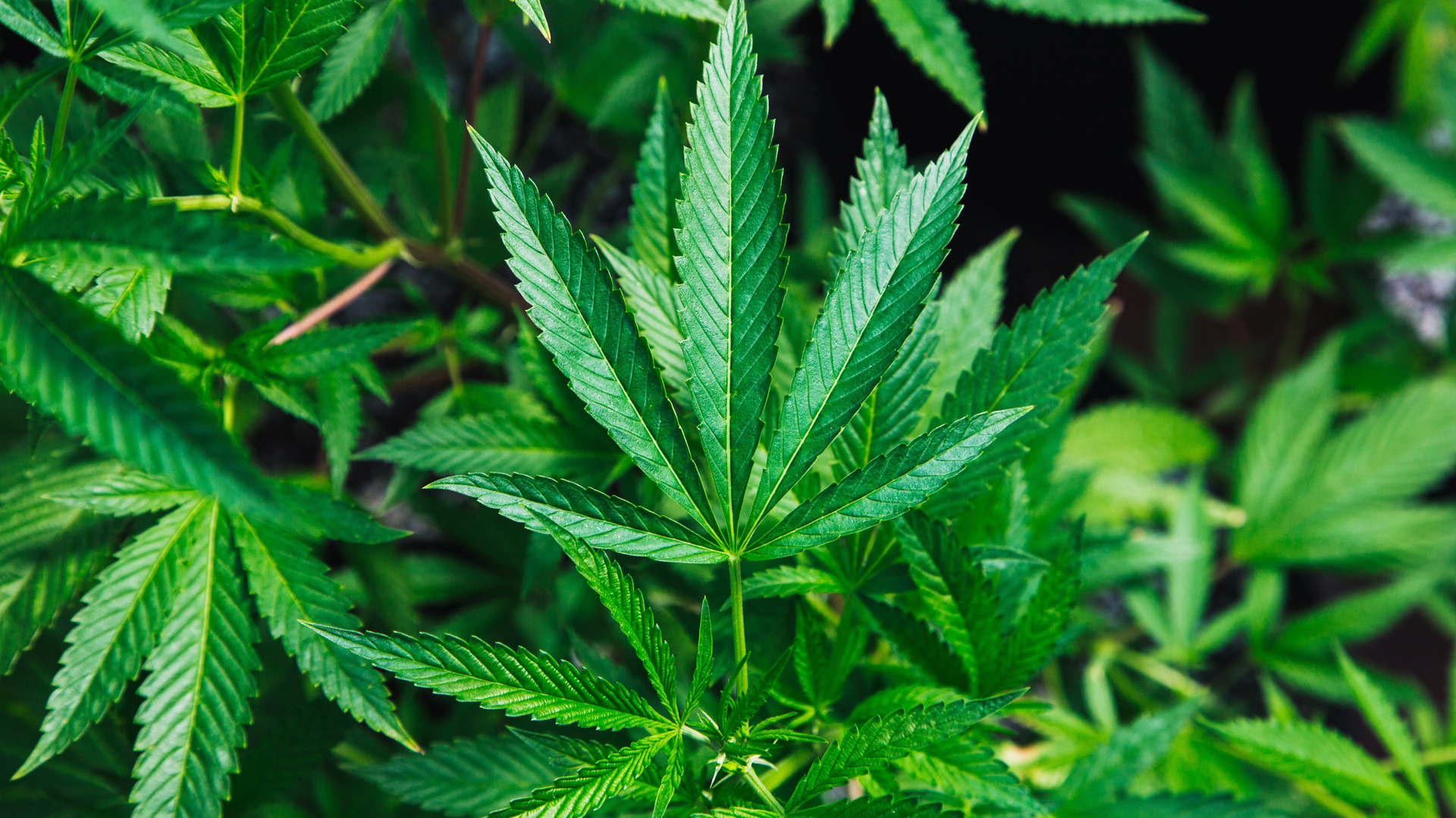 Photo by Rick Proctor on Unsplash