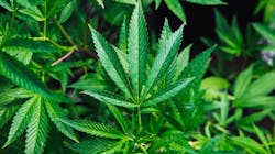 Photo by Rick Proctor on Unsplash Photo by Rick Proctor on Unsplash