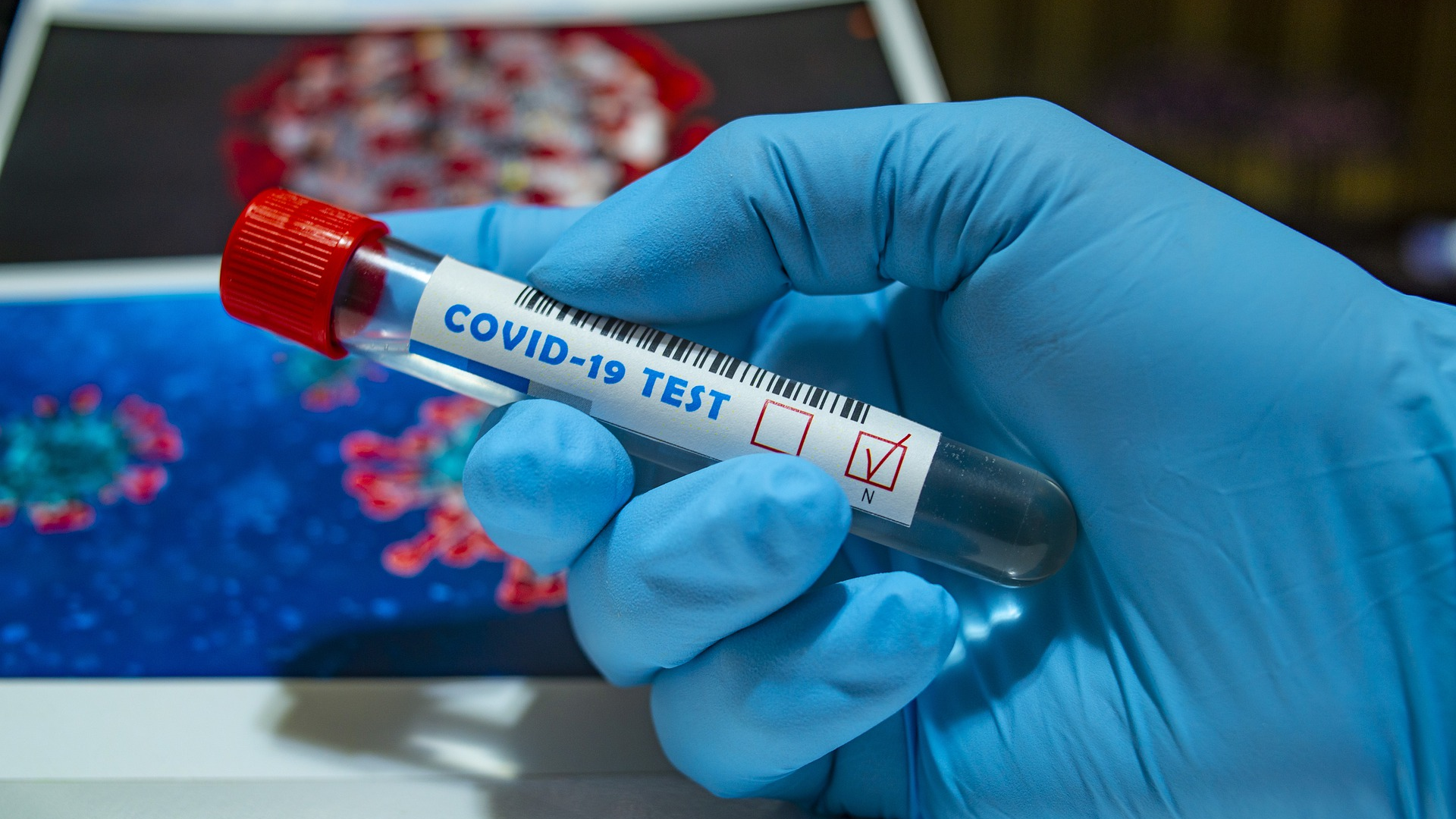 Image by fernando zhiminaicela from Pixabay