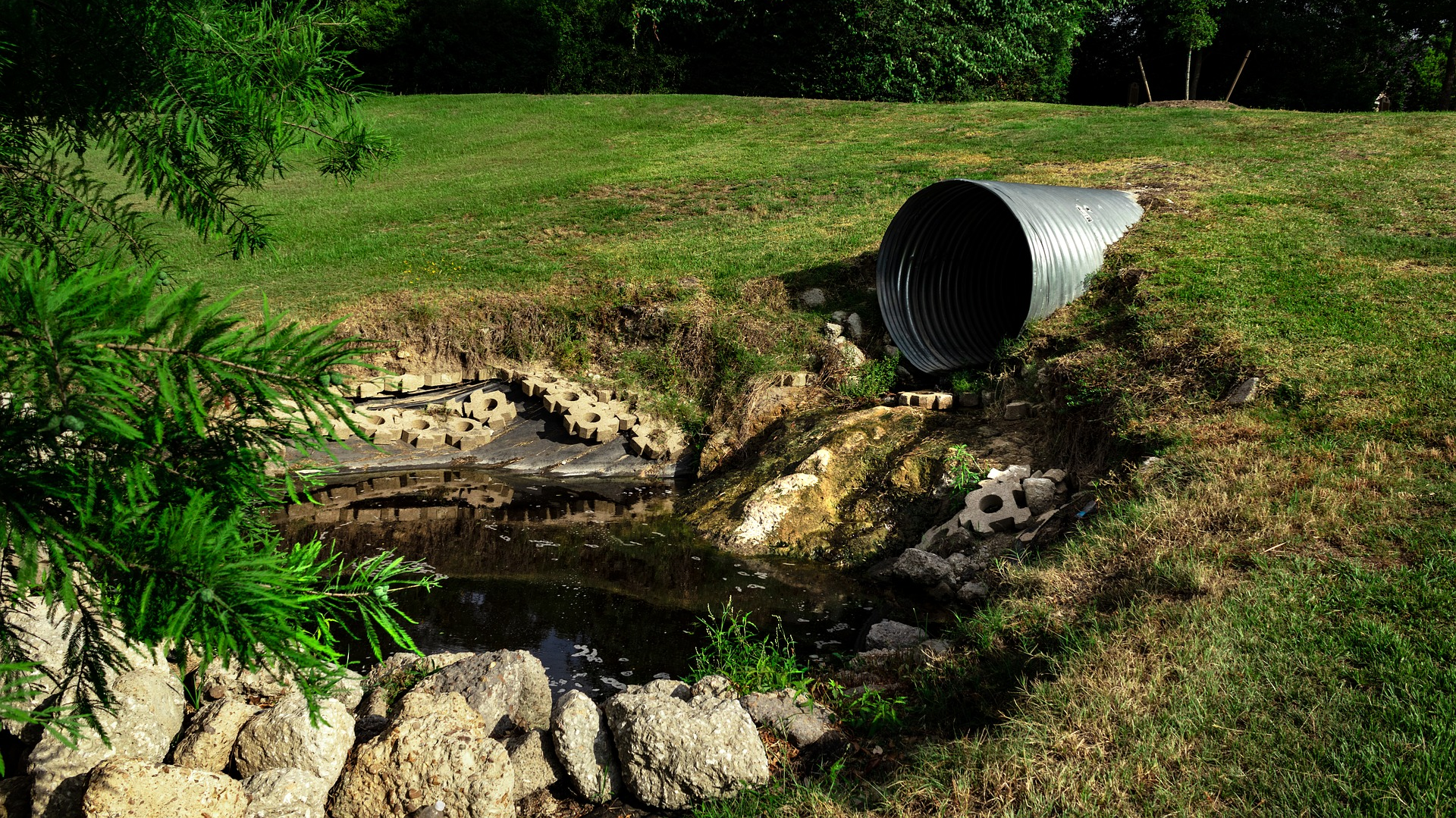 Image by Thomas Hoang from Pixabay