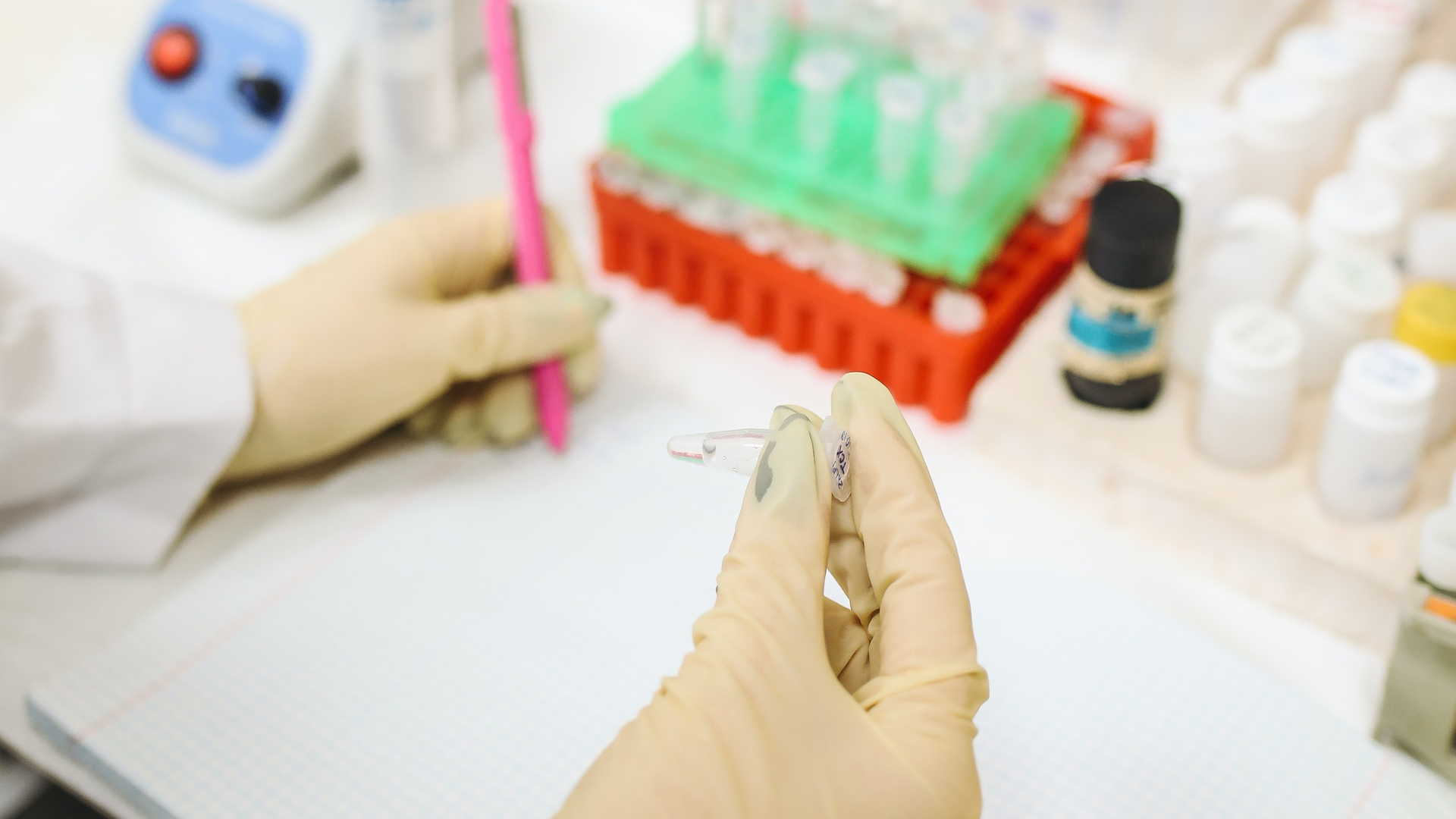 Photo by Polina Tankilevitch from Pexels