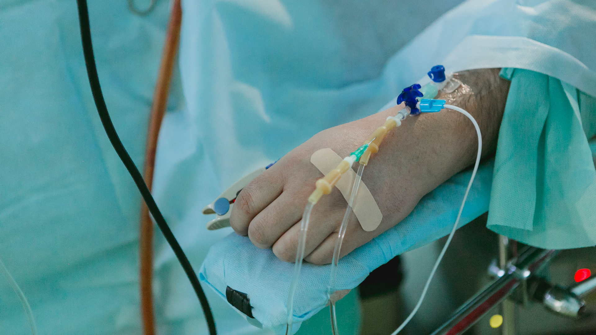 Photo by Olga Kononenko on Unsplash