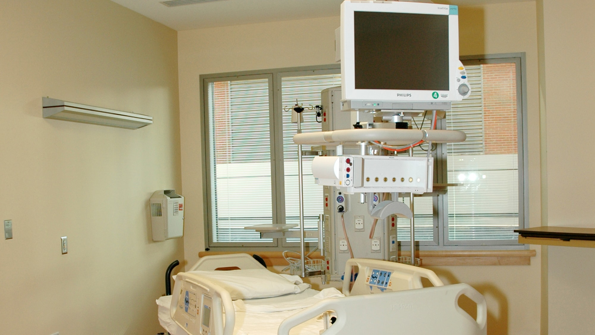 Image by National Cancer Institute on Unsplash